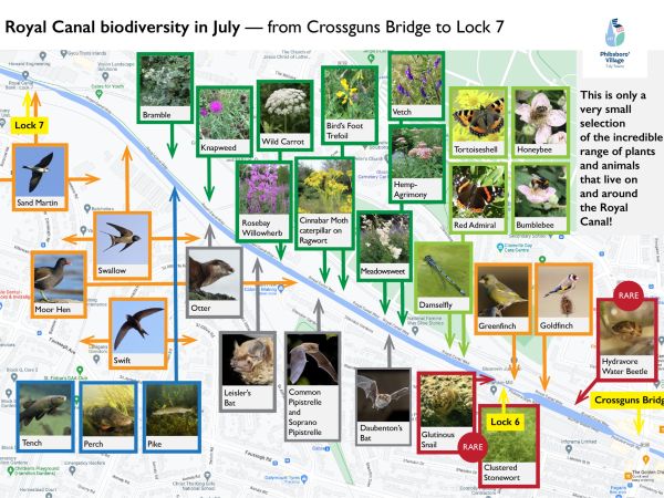 Phizzfest Event: Amazing Underwater World of the Royal Canal